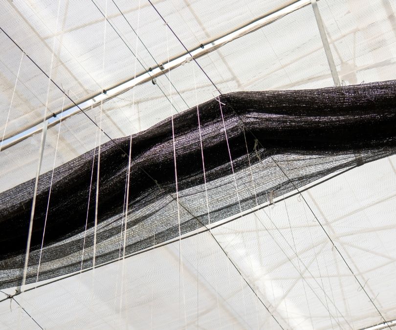 Manejo do Microclima